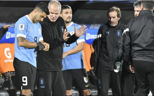 开云下载-苏亚雷斯炮轰贝尔萨到底有什么真相？